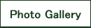 Photo Gallery