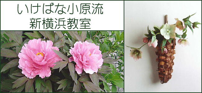 �����΂ȏ������@�V���l����